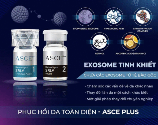 ASCE -EXOSOME